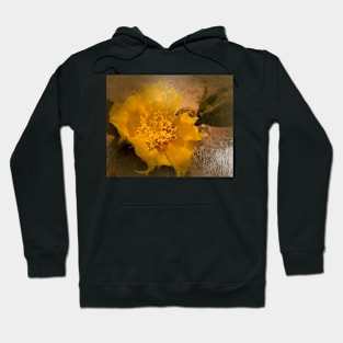 Antiqued Yellow Cactus Bloom Hoodie